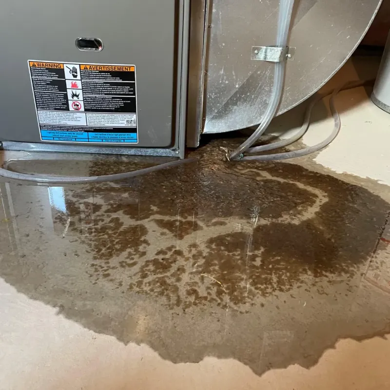 Appliance Leak Cleanup in Ravenswood, WV