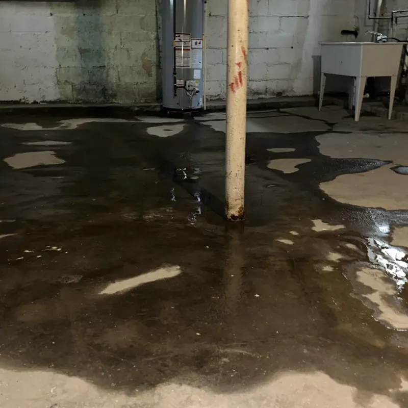 Emergency Water Extraction And Removal in Ravenswood, WV
